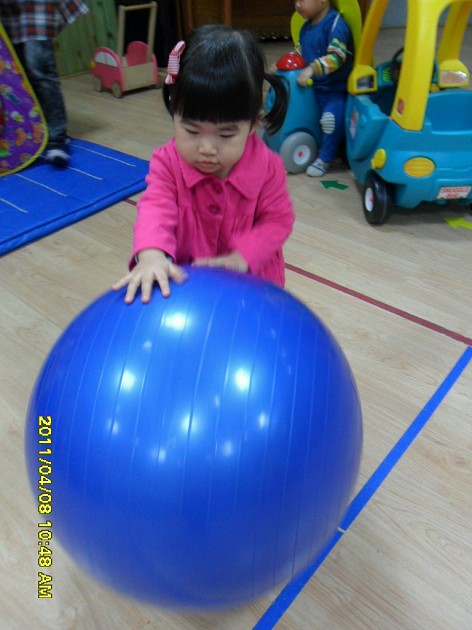 20110408174838_SAM_0283_X.jpg