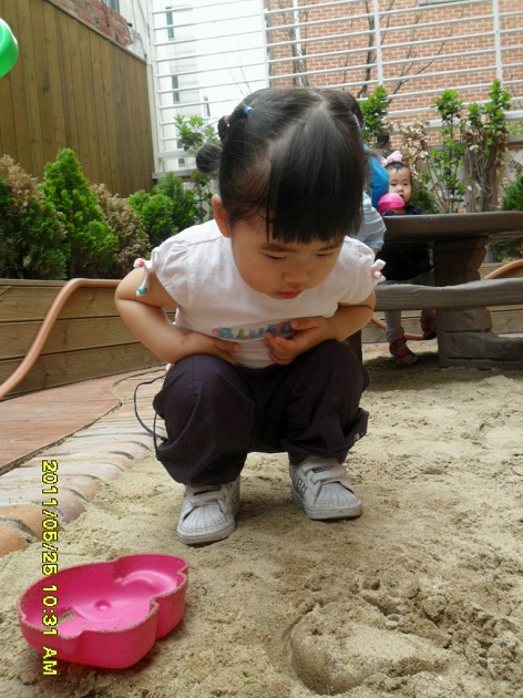 20110525135403_SAM_1946_X.jpg