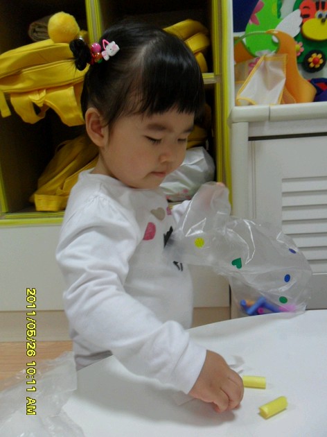20110526142521_SAM_2003_X.jpg