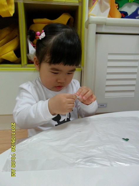 20110526142521_SAM_1992_X.jpg