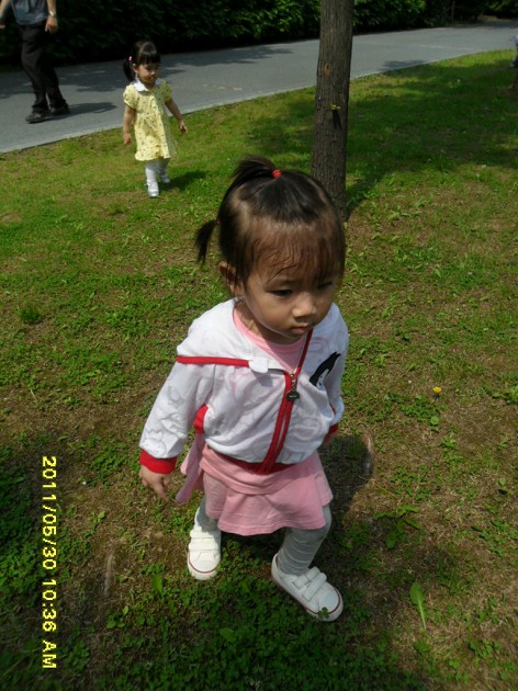 20110530141418_SAM_2191_X.jpg
