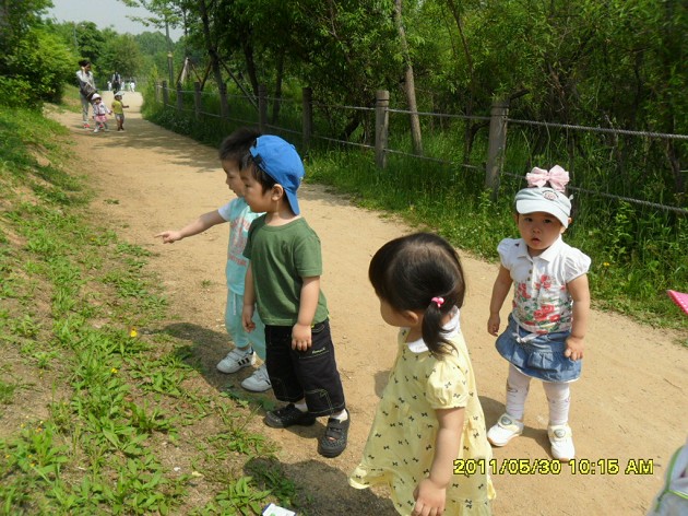 20110530141418_SAM_2160_X.jpg