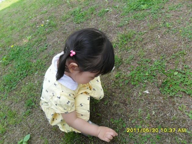 20110530141418_SAM_2193_X.jpg