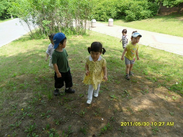 20110530141418_SAM_2183_X.jpg