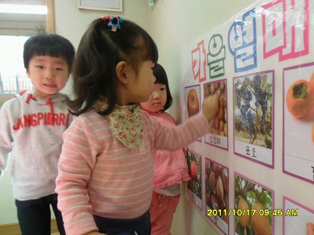 20111017142833_SAM_0155_X.jpg