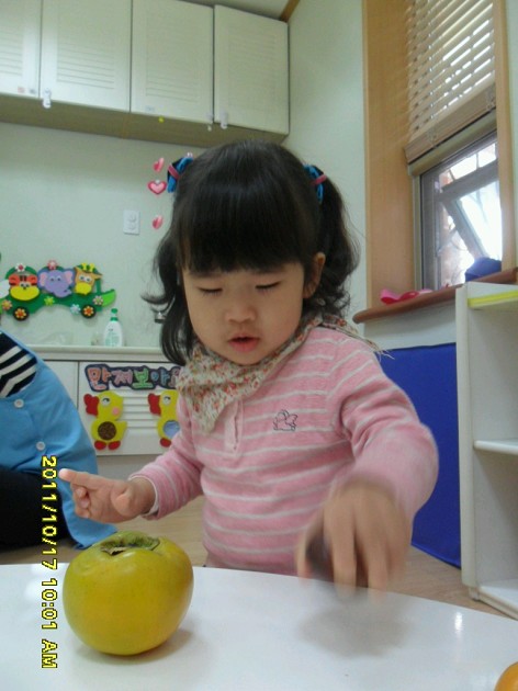 20111017143426_SAM_0158_X.jpg