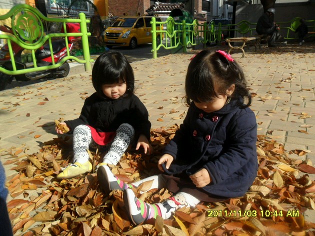 20111104163458_SAM_3199_X.jpg 20111104163458_SAM_3199_X.jpg